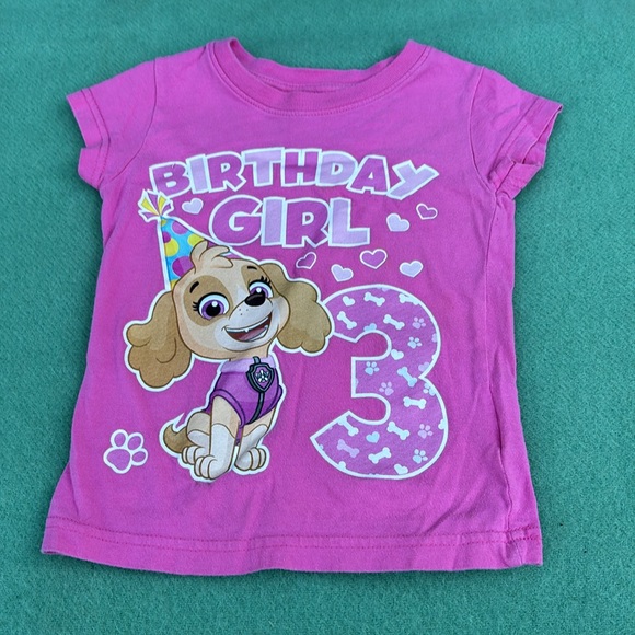 Nickelodeon Paw Patrol Pink SS 3rd Birthday Girl T-Shirt with Cartoon Design 2T - Picture 7 of 16